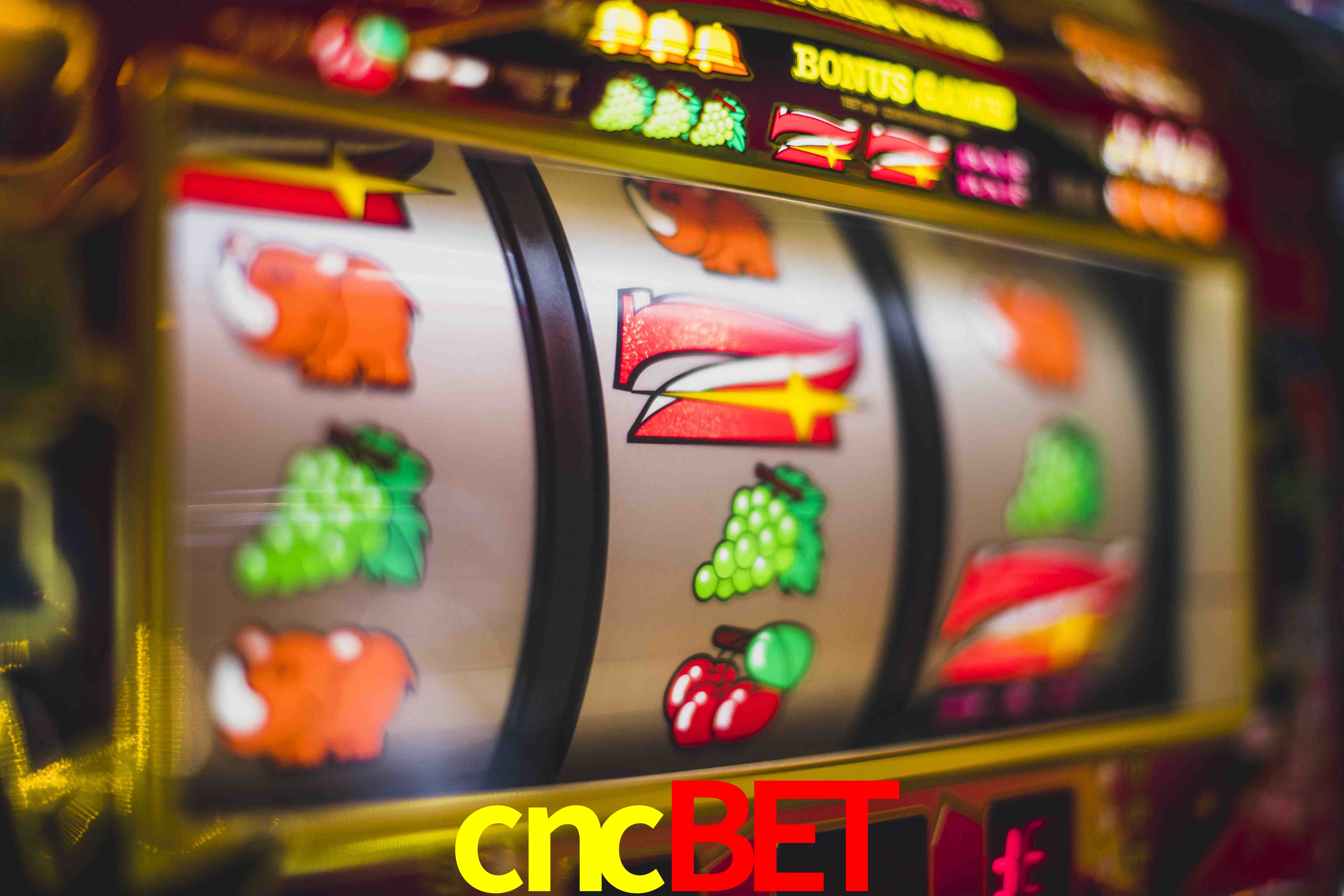 Live Casino cncbet
